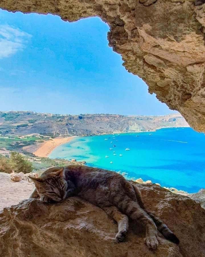 Farmhouse Tal Kaptan Kerċem Exteriér fotografie